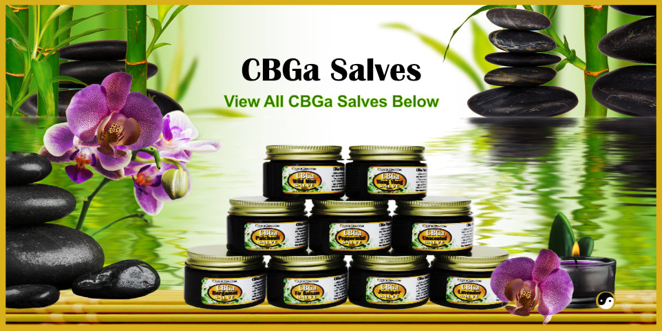 CBGa topical salves displayed next to a candle with purple orchids, large black rocks. With water and bamboo in the background.