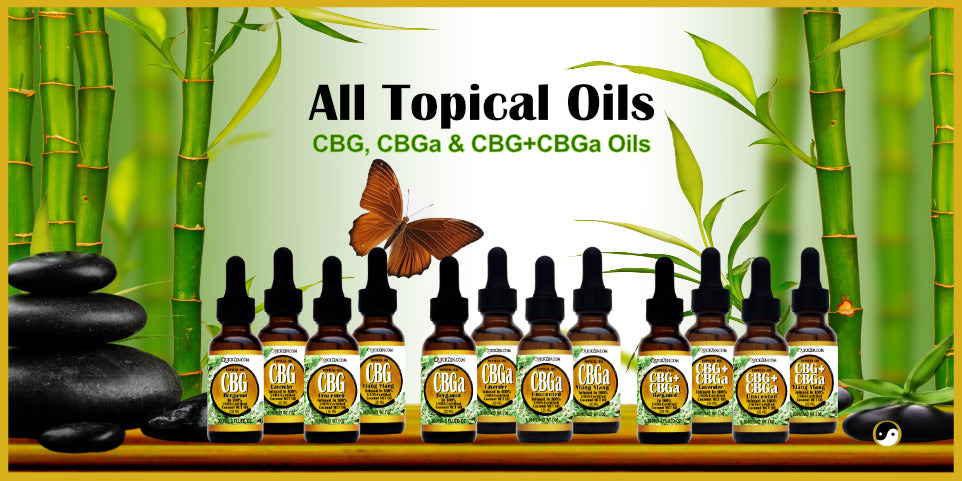 All QuickZen topical oils. CBG, CBGa and combination CBG plus CBGa. Arranged on a table with black rocks and green bamboo in the background.