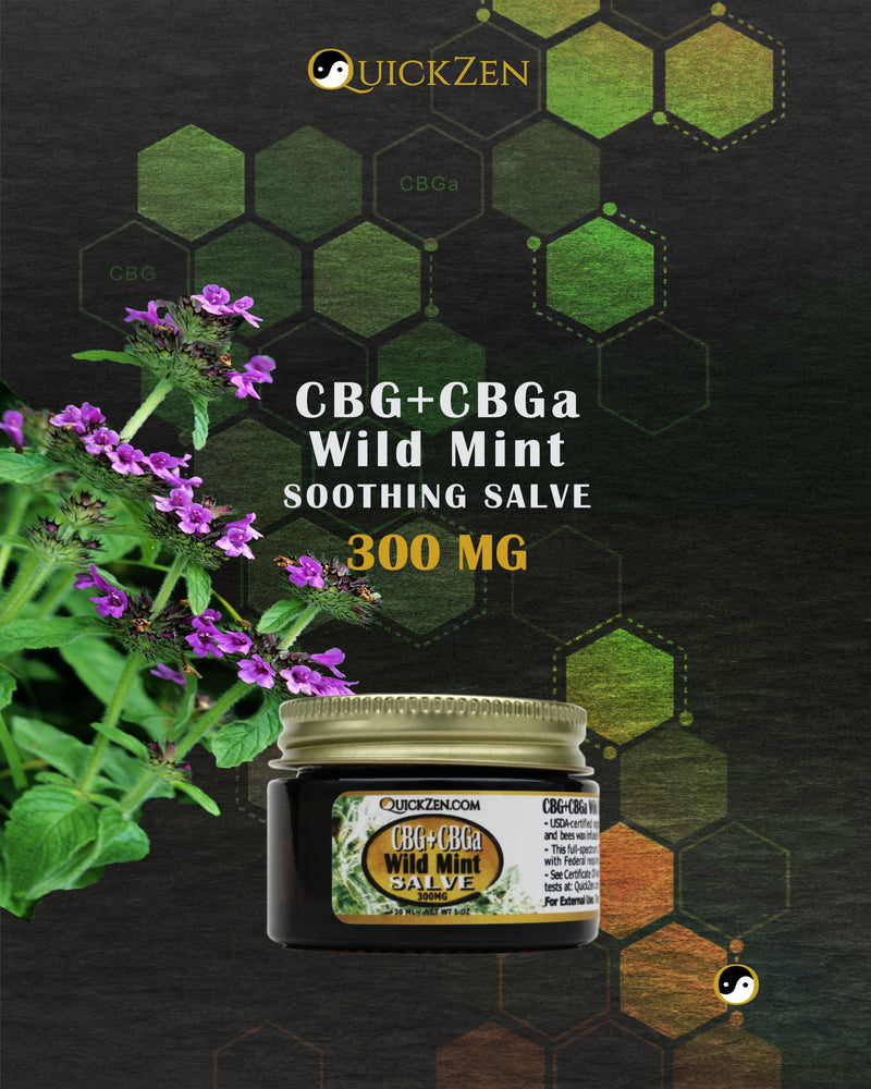 
                  
                    Front view one ounce jar of wild mint scented CBG and CBGa salve, 300 milligrams. Purple wild mint flowers. Molecular icons in the background.
                  
                