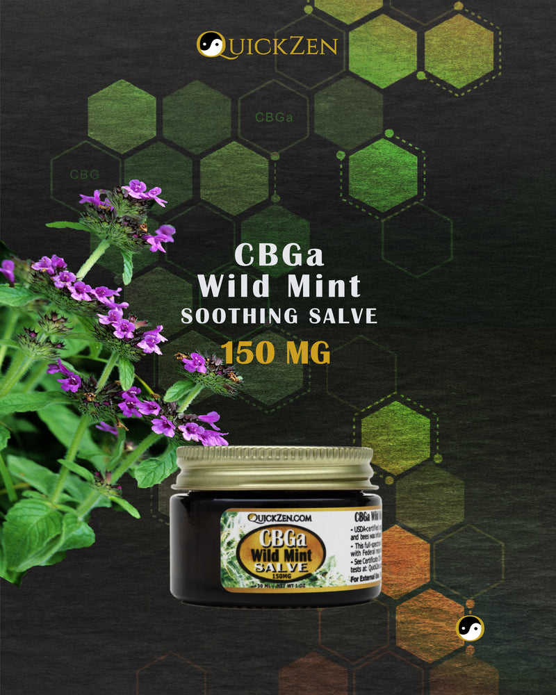 
                  
                    Front view one ounce jar of wild mint scented CBGa salve, 150 milligrams. Several fresh cut wildmint flowers. Molecule icons in the background.
                  
                